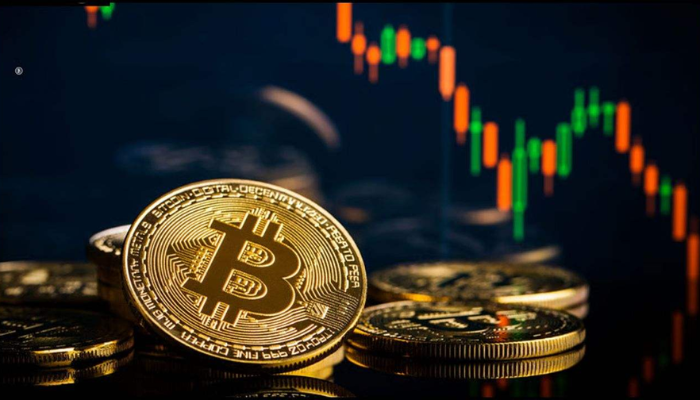 news feedcryptobuzz
